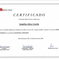 Ampliar imagem: certificate 2