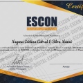 Ampliar imagem: certificate 3