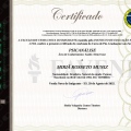 Ampliar imagem: certificate 1