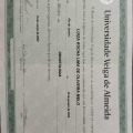 Ampliar imagem: certificate 2