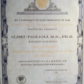 Ampliar imagem: certificate 1