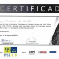 Ampliar imagem: certificate 9