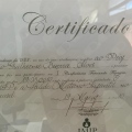 Ampliar imagem: certificate 1