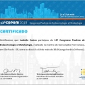Ampliar imagem: certificate 3
