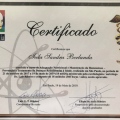 Ampliar imagem: certificate 9