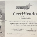 Ampliar imagem: certificate 2
