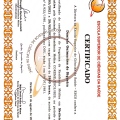 Ampliar imagem: certificate 1