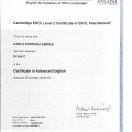 Ampliar imagem: certificate 2