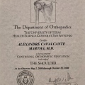 Ampliar imagem: certificate 6