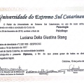 Ampliar imagem: certificate 3