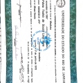 Ampliar imagem: certificate 3