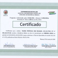 Ampliar imagem: certificate 1