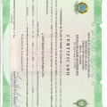 Ampliar imagem: certificate 2