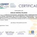 Ampliar imagem: certificate 7
