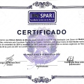Ampliar imagem: certificate 3