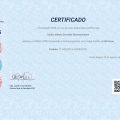 Ampliar imagem: certificate 8