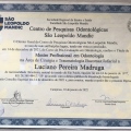 Ampliar imagem: certificate 4