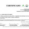 Ampliar imagem: certificate 7