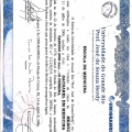 Ampliar imagem: certificate 1