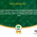 Ampliar imagem: certificate 3