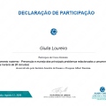 Ampliar imagem: certificate 2