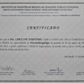 Ampliar imagem: certificate 3