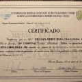 Ampliar imagem: certificate 5