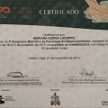 Ampliar imagem: certificate 6