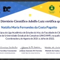 Ampliar imagem: certificate 4