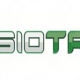 Fisiotrauma