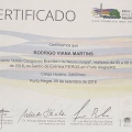 Ampliar imagem: certificate 9