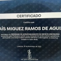 Ampliar imagem: certificate 8
