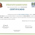 Ampliar imagem: certificate 1