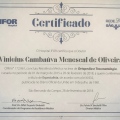 Ampliar imagem: certificate 5