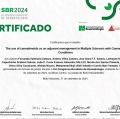 Ampliar imagem: certificate 3