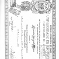 Ampliar imagem: certificate 8