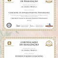 Ampliar imagem: certificate 8