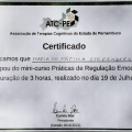 Ampliar imagem: certificate 3