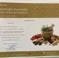 Ampliar imagem: certificate 5