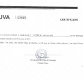 Ampliar imagem: certificate 13