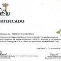 Ampliar imagem: certificate 12