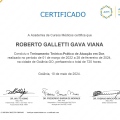 Ampliar imagem: certificate 1