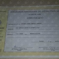 Ampliar imagem: certificate 41