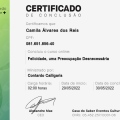 Ampliar imagem: certificate 2