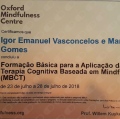 Ampliar imagem: certificate 3
