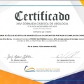 Ampliar imagem: certificate 21