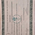 Ampliar imagem: certificate 4
