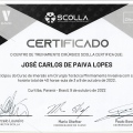 Ampliar imagem: certificate 31