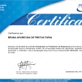 Ampliar imagem: certificate 7