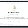 Ampliar imagem: certificate 25